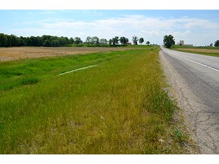 Property photo 13 - FARM & LAND AUCTION - 125+/- ACRES OFFERED IN 5 TRACTS IN EAST ALLEN COUNTY, INDIANA